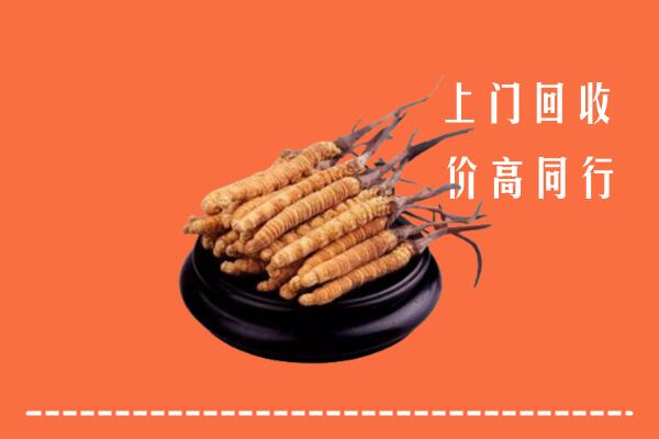 高价求购：凉山昭觉回收散虫草