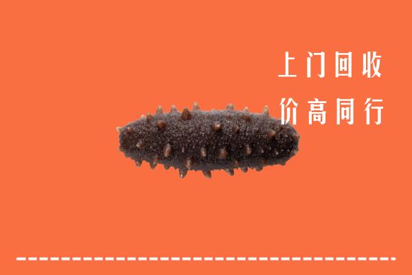 高价求购：凉山昭觉回收海参