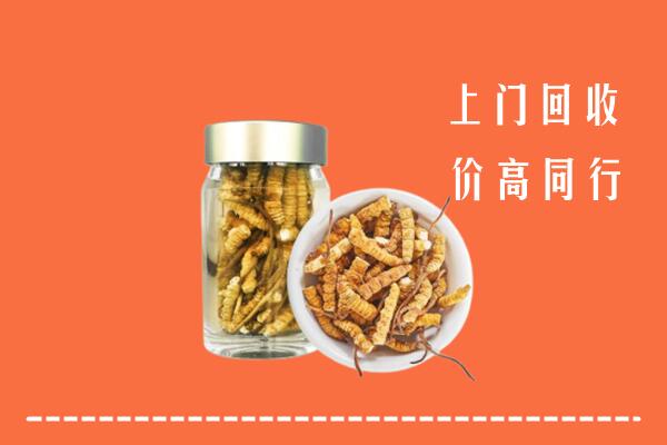 凉山昭觉回收冬虫夏草